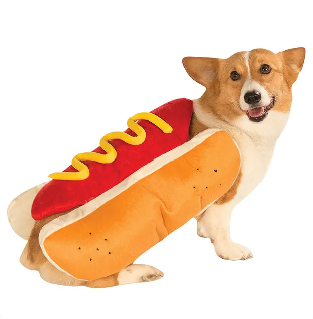 Dogs