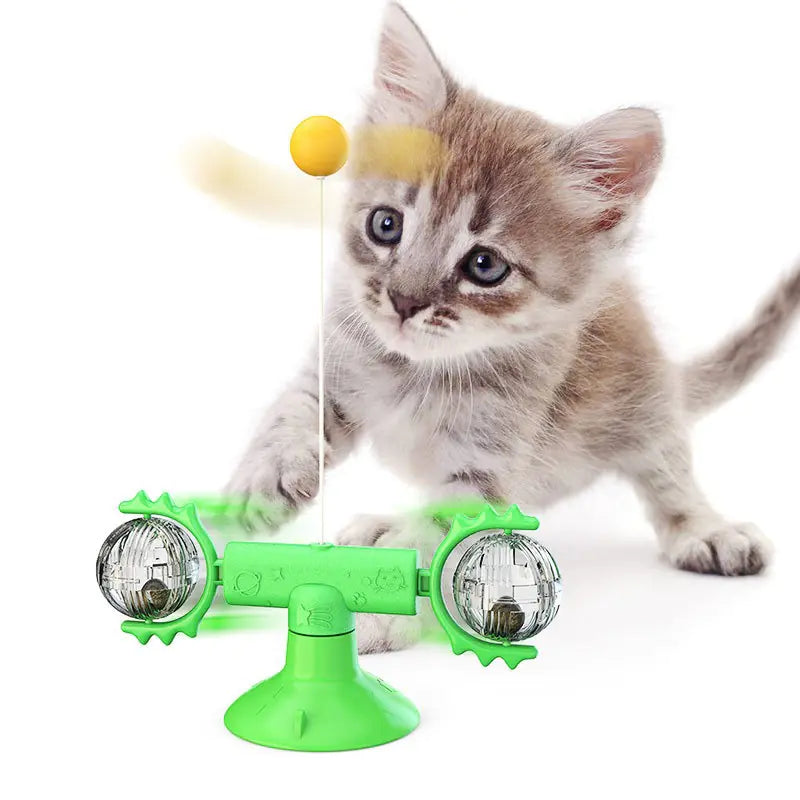 Cats