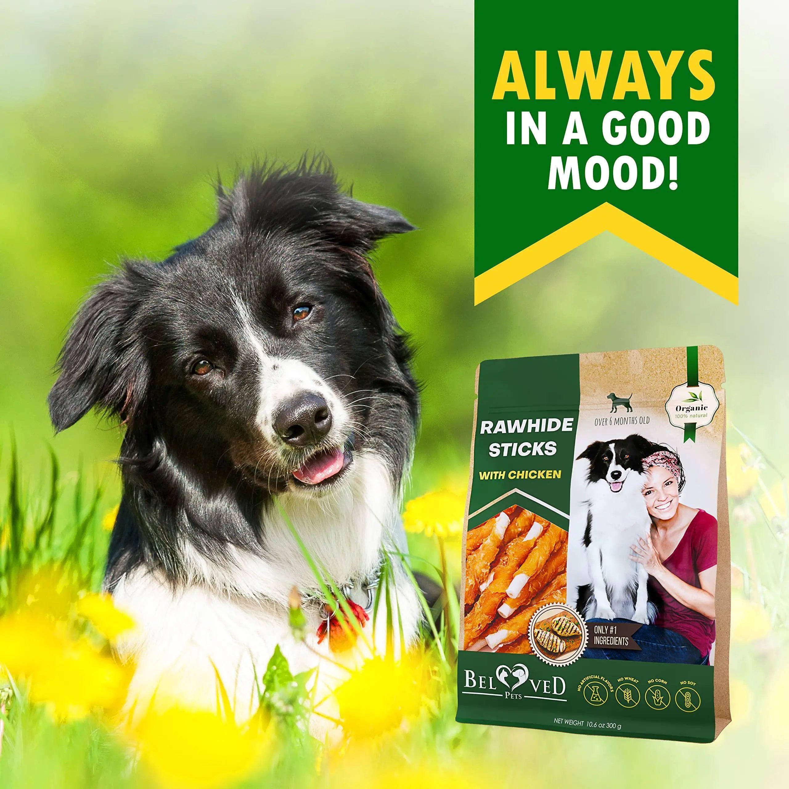 Chicken-Wrapped Rawhide Sticks for Dogs