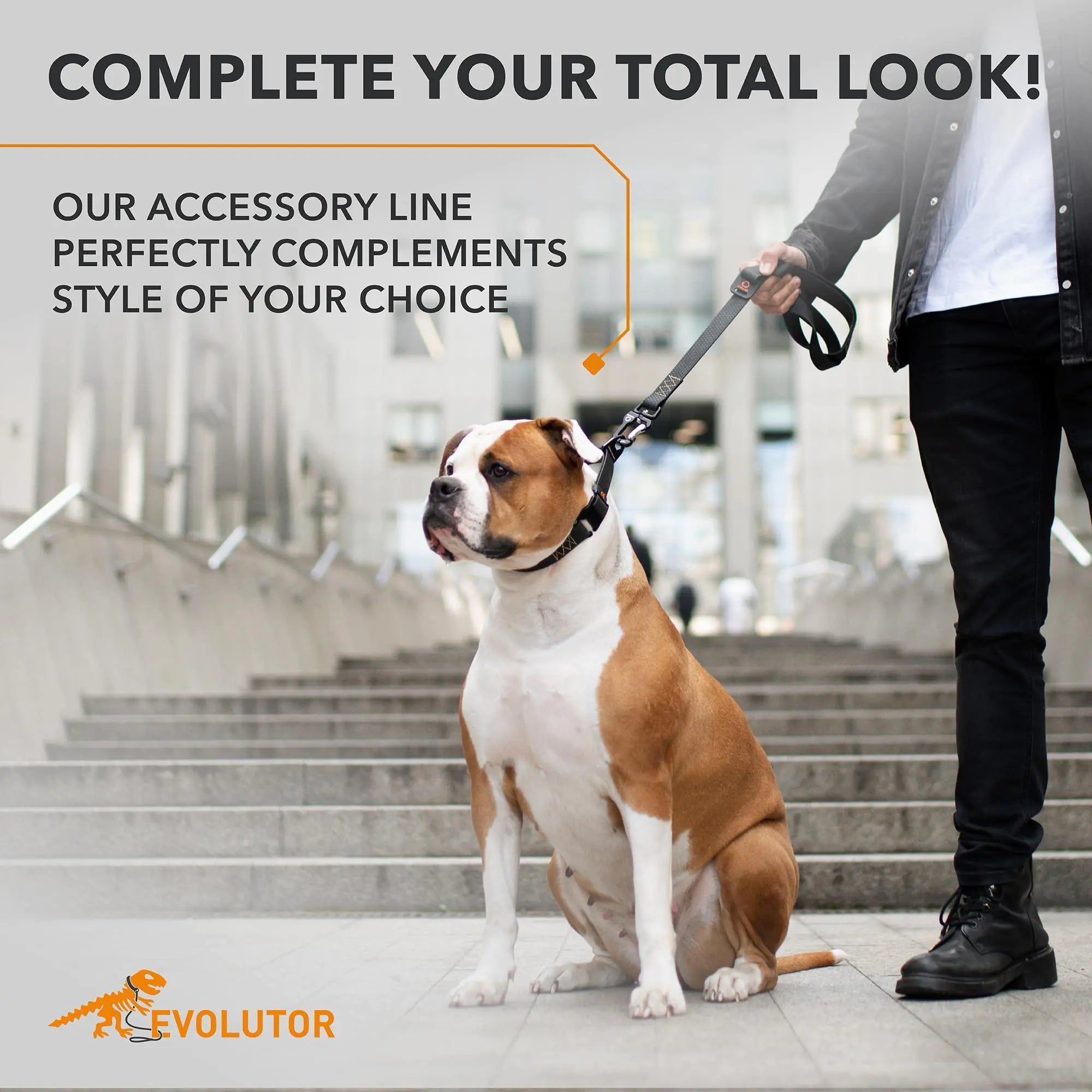 Resilient Black Tactical Dog Leash 4 Ft