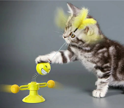 Rotating Cat Windmill
