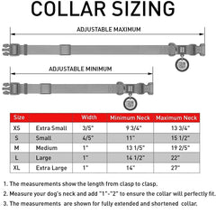 Glowing Heavy Duty Waterproof Collar