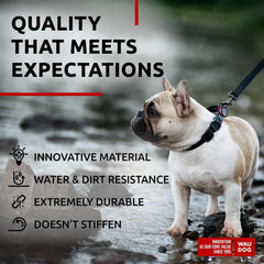 Adjustable Black Collar for Medium Dogs