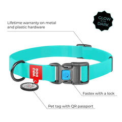 Glowing Heavy Duty Waterproof Collar